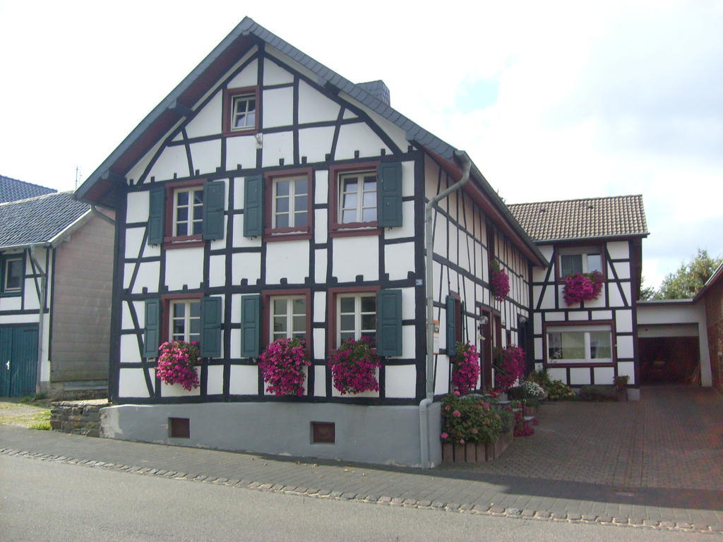 Ferienwohnung Duerbaum Schleiden Extérieur photo