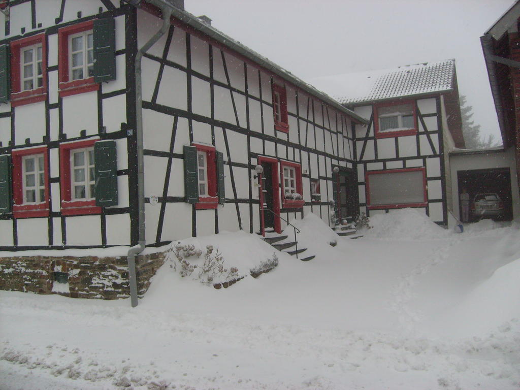 Ferienwohnung Duerbaum Schleiden Extérieur photo