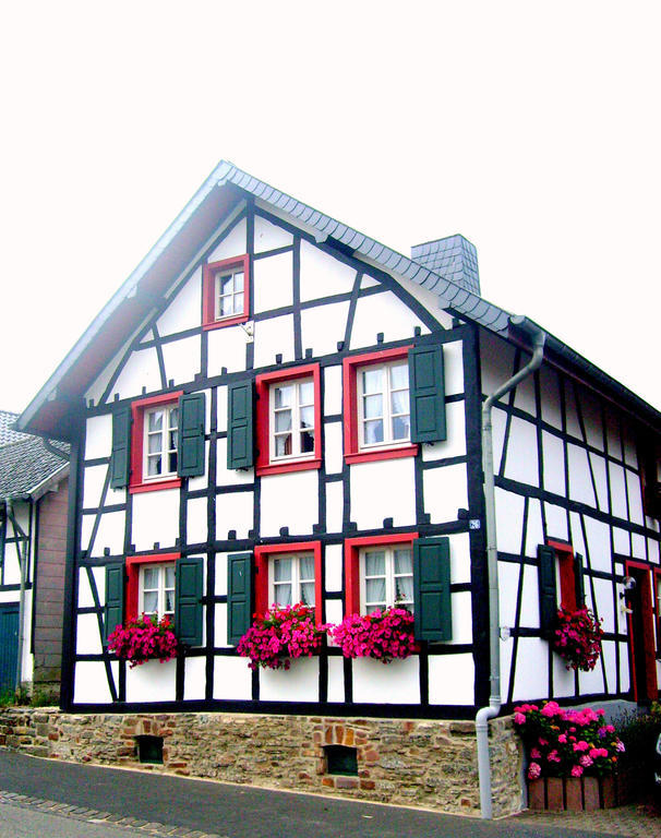 Ferienwohnung Duerbaum Schleiden Chambre photo